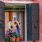 Bird Nest Swing Hammock Cage