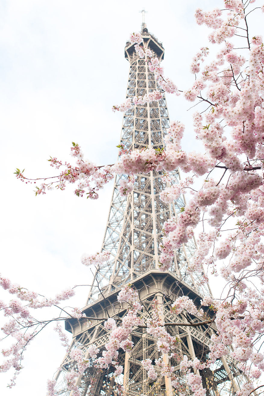 April in Paris Print