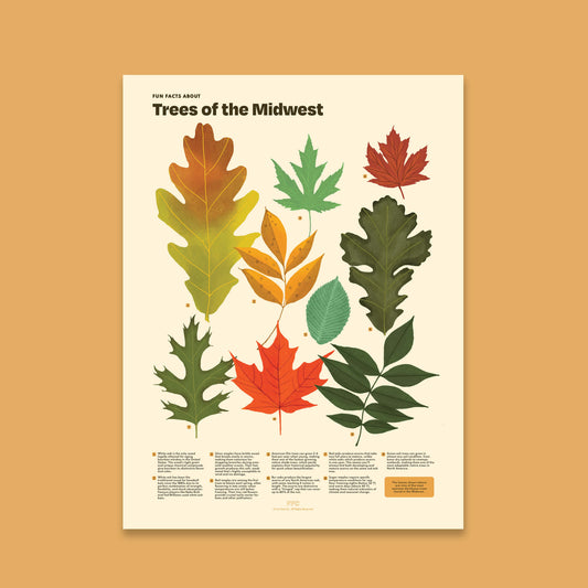 Trees of the Midwest Print