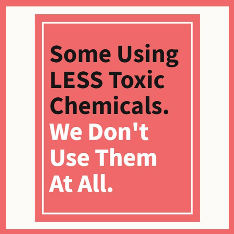 Bright Day Vitamin C Serum *Peony Platinum Award Winner - The Peony Haus