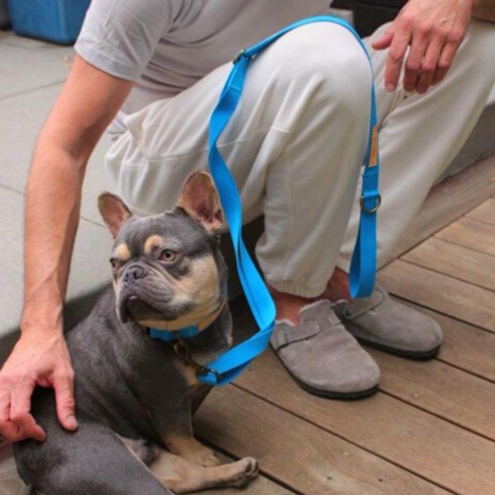 Malibu Sunset Sustainable Hemp Cotton Adjustable Dog Leash – Durable & Soft