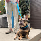 Malibu Sunset Sustainable Hemp Cotton Adjustable Dog Leash – Durable & Soft