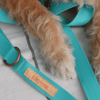 Malibu Sunset Sustainable Hemp Cotton Adjustable Dog Collar– Durable & Soft