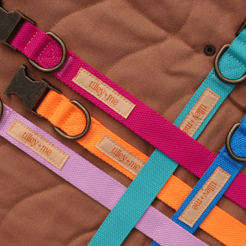 Malibu Sunset Sustainable Hemp Cotton Adjustable Dog Collar– Durable & Soft