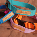 Malibu Sunset Sustainable Hemp Cotton Adjustable Dog Collar– Durable & Soft