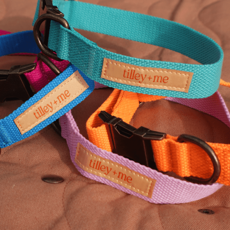 Malibu Sunset Sustainable Hemp Cotton Adjustable Dog Collar– Durable & Soft