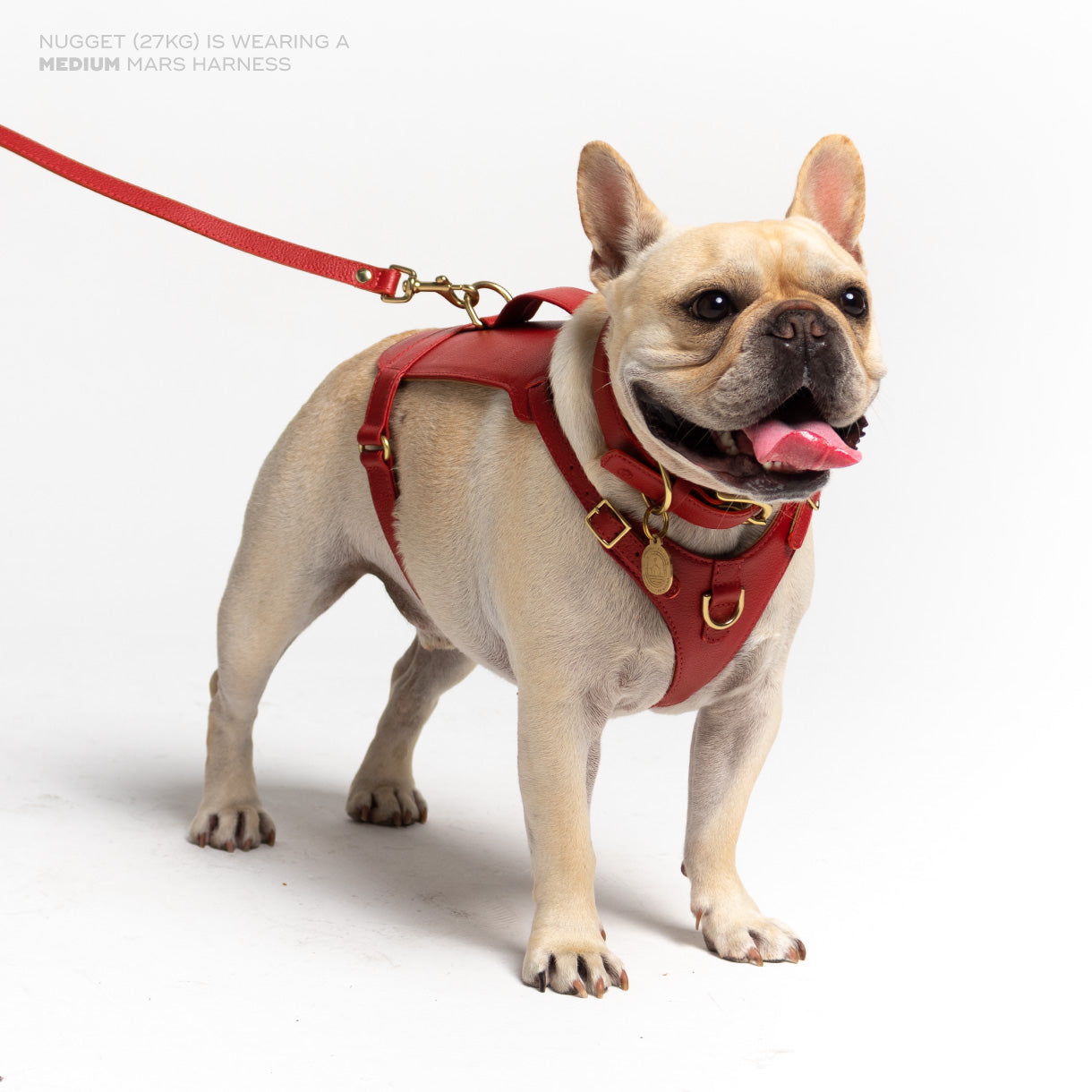 Mars Heritage Harness