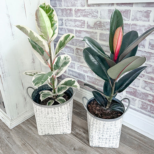 Whitewashed Woven Metal Baskets, Set of 2 - The Peony Haus