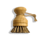 Modular Palm Pot Scrub Brush