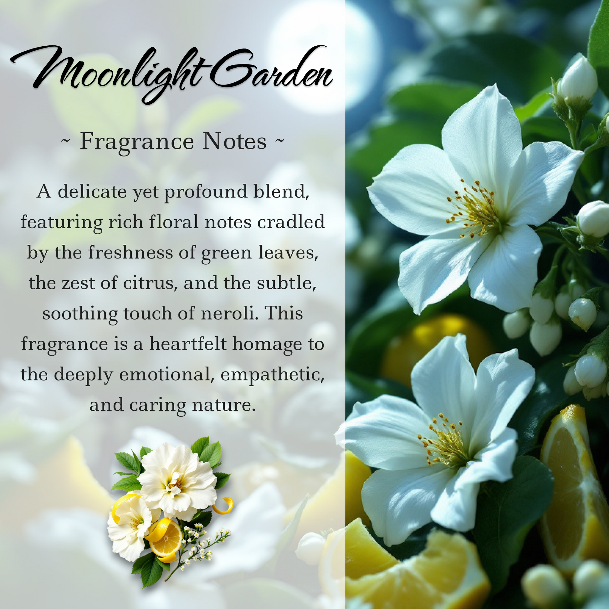 Moonlight Garden Crystal-Enhanced Reed Oil Diffuser, 3oz/100ml