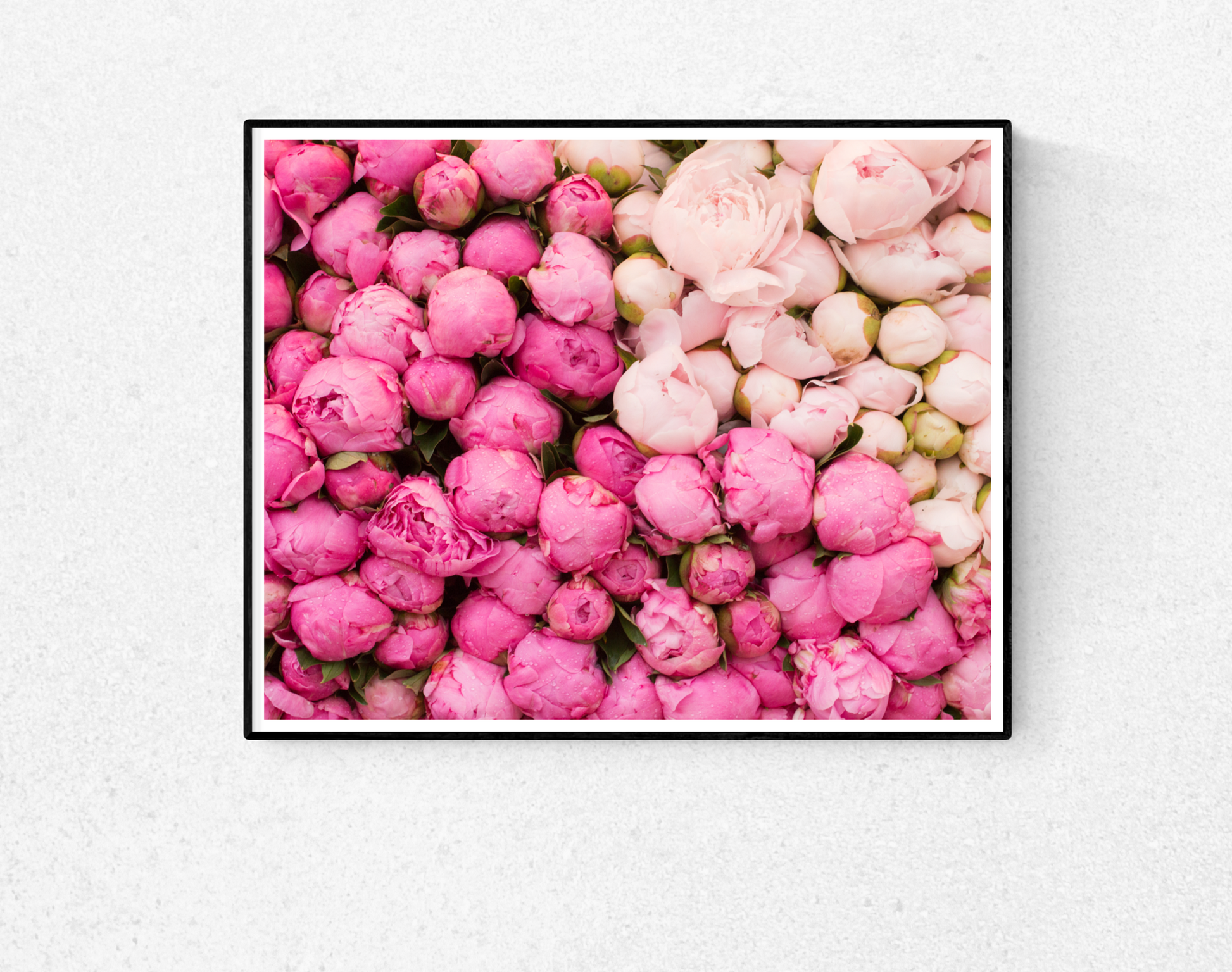 Peony Season in Paris Print