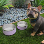 Stainless Steel Pet Bowl – Non-Slip, Durable & Dishwasher Safe | 32oz and 64oz