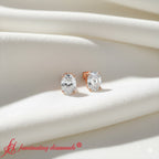 Stud Earring Basket Oval Shaped